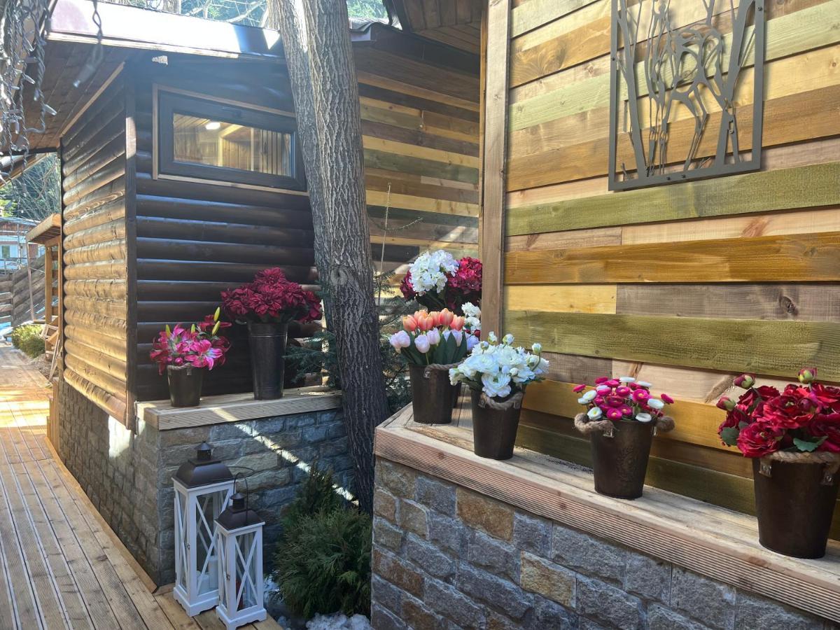 Moura & Villas Borovets Mountain Relax Spa Hotel Екстер'єр фото